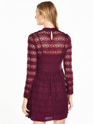 Pleated Lace Skater Dress