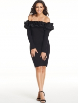 Ruffle Long Sleeve  Dress